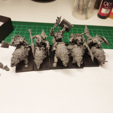 Picture of print of Goblin Wolfriders multi-part regiment