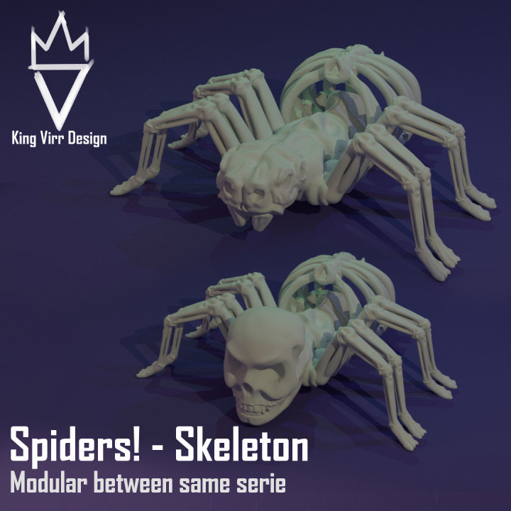 Spiders! Skeleton - Modular spider's Cover