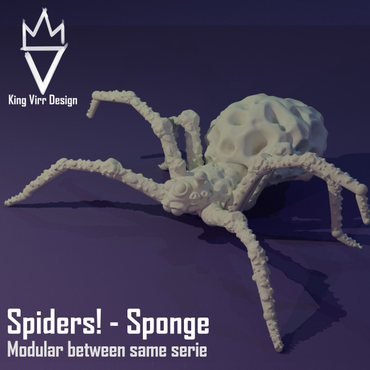 Spiders! Sponge - Modular spider's Cover