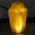 Lantern Vase print image