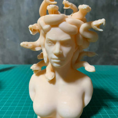 Picture of print of Medusa
