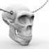 skull smiling pendant image