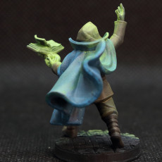Picture of print of Human Wizard [PRE-SUPPORTED]