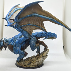 Picture of print of Adult Cloud Dragon
