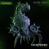 Skorponok Flyer - Dark Gods image