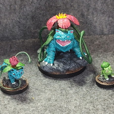 Picture of print of Kaijumon Flower Toads