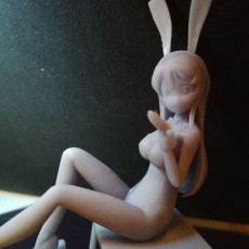 Picture of print of Mai Sakurajima - Rascal Does Not Dream of Bunny Girl Senpai
