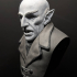 Nosferatu Bust (Pre-Supported) print image