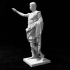 Augustus Prima Porta image