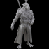 Dragonborn Weapons Master - Pirates and Swashbucklers Kickstarter image