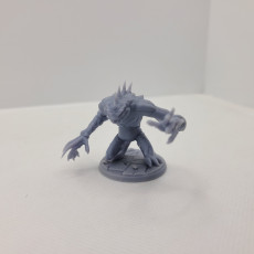 Picture of print of Grey Chaostoad