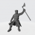 Medieval Danish Champion Knight image