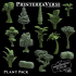 004 Plant Pack image