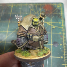 Picture of print of Tortle Ranger Miniature - Pre-Supported