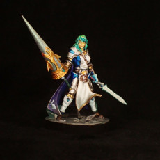 Picture of print of Paladin B Elf Female