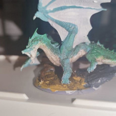 Picture of print of Young Brine Dragon