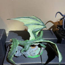Picture of print of Young Brine Dragon