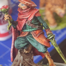 Picture of print of Warriors and Warrens- Briar Burglar