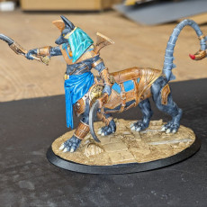 Picture of print of Mummified Sphinx Champion