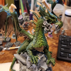 Picture of print of Green Dragon (Pre-Supported)