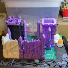 Picture of print of Old City Terrain