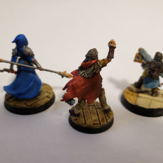 Picture of print of RPG - DnD Hero Characters - Titans of Adventure Set 16
