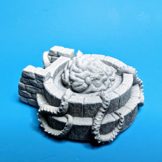 Picture of print of Adolescent Elder Brain in Pool Miniature - Pre-Supported