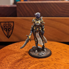 Picture of print of Elven Paladin of War - Tyriana