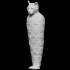 Mummified cat image