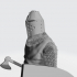 Medieval Danish Knight or Danish Vassal image