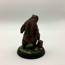 Picture of print of Brown Bear