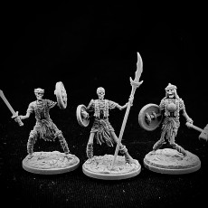 Picture of print of Skeleton Warriors