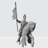 Teutonic Order Standard Bearer Brother Knight image