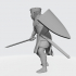 Medieval Danish Crusader Knight with sword image