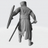 Medieval Danish Crusader Knight with sword image