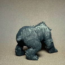 Picture of print of Druid Bear form