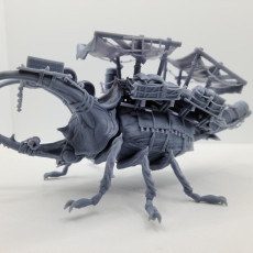 Picture of print of Beetle Beast of Burden
