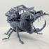 Beetle Beast of Burden print image