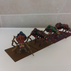 Picture of print of Goliath Ants (wings and no wings)