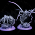 Goliath Ants (wings and no wings) image