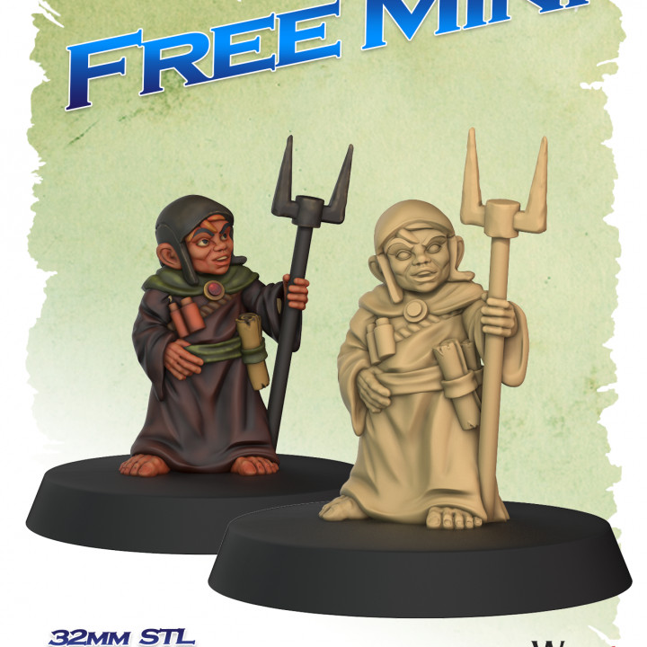 Halfling Wizard for Dungeons & Dragon RPG and Fantasy Boardgames