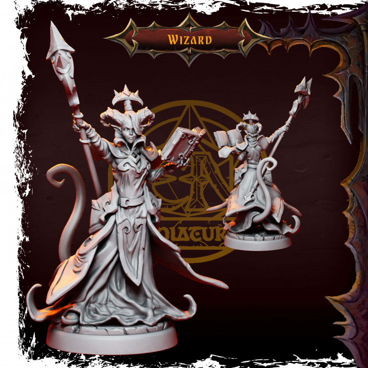 Lilnarei Darkmoon-Mid Level Infernal Wizard's Cover