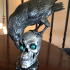 The Jewel Thief (Raven and Skull) image