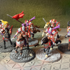 Picture of print of Fighters Guild Riders - 3 Modular Units