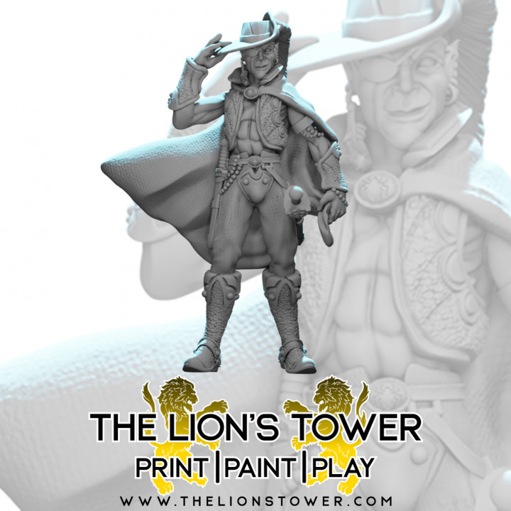 Axel - Drow Mercenary Rogue (32mm scale presupported miniature)'s Cover