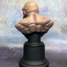 Picture of print of Dwarf Bust [Pre-Supported]