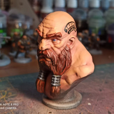 Picture of print of Dwarf Bust [Pre-Supported]