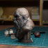 Dwarf Bust [Pre-Supported] image