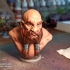 Dwarf Bust [Pre-Supported] print image