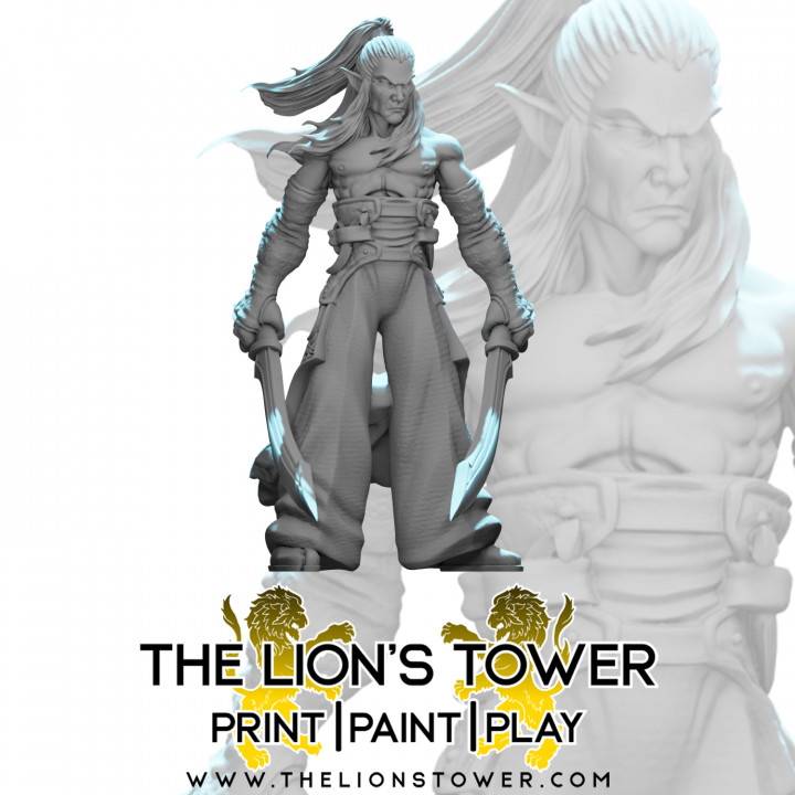 Zecht - Drow Weaponmaster (32mm scale presupported miniature)'s Cover